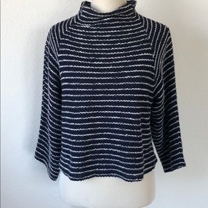 Zara Crop Top Wweater Turtleneck Quarter Sleeve